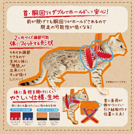 Anycat エニーキャット ハーネス シンプル S オレンジ | ペティオ