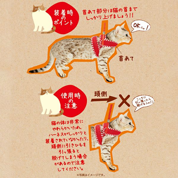 Anycat エニーキャット ハーネス ストライプ M レッド | ペティオ