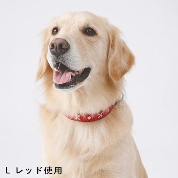 BASIC PLUS ベーシックプラス クロスダイヤカラー L ブルー | ペティオ