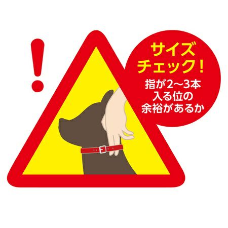 BASIC PLUS ベーシックプラス クロスダイヤカラー L レッド | ペティオ