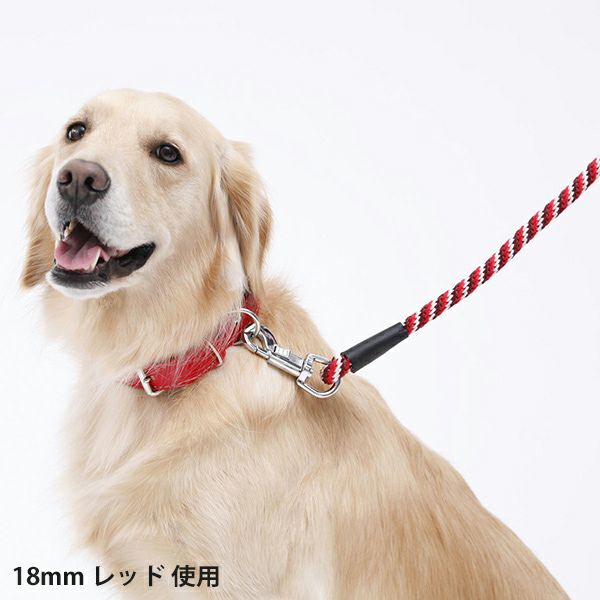 BASIC PLUS ベーシックプラス スパイラルリード 10mm レッド