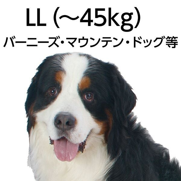グランデ ダブルステッチカラー LL ブラック | ペティオ オンライン