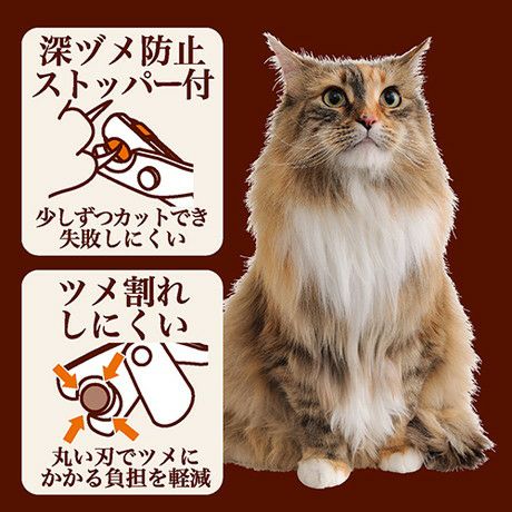 000000000558-04.jpg?size=l&w=