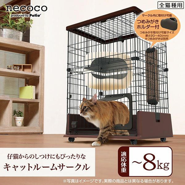 37%OFF!買い替え特集】necoco ネココ 仔猫からのしつけにもぴったりな 37%OFF!買い替え特集】necoco ネココ 仔猫からのしつけにもぴったりな