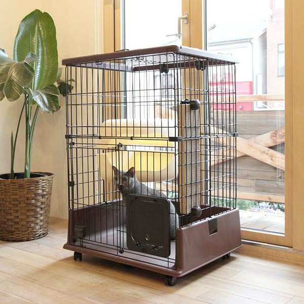 28%OFF】necoco ネココ 仔猫からのしつけにもぴったりな キャット 