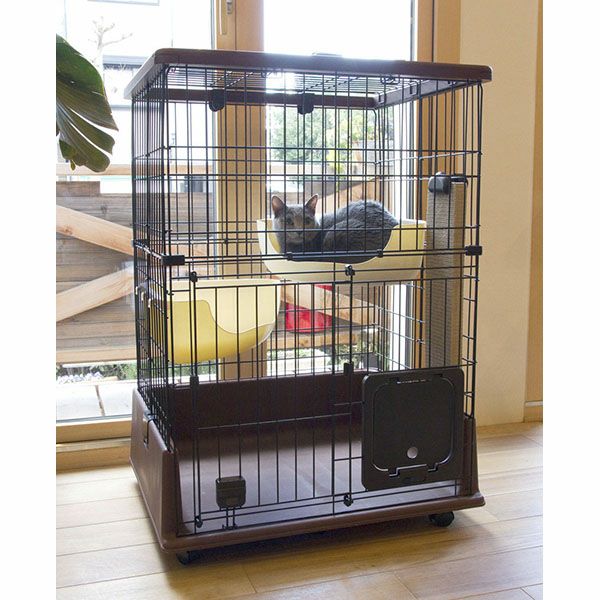 28%OFF】necoco ネココ 仔猫からのしつけにもぴったりな キャット 
