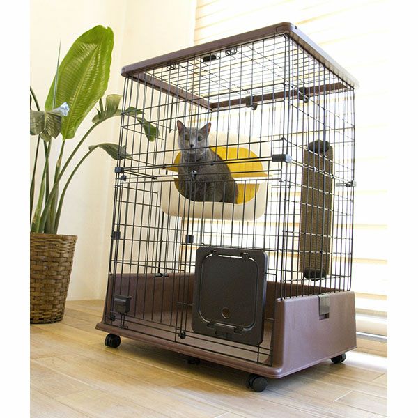 28%OFF】necoco ネココ 仔猫からのしつけにもぴったりな キャット 