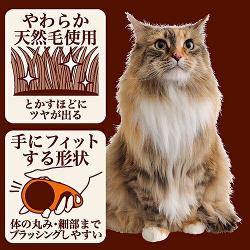 000000000573-04.jpg?size=l&w=