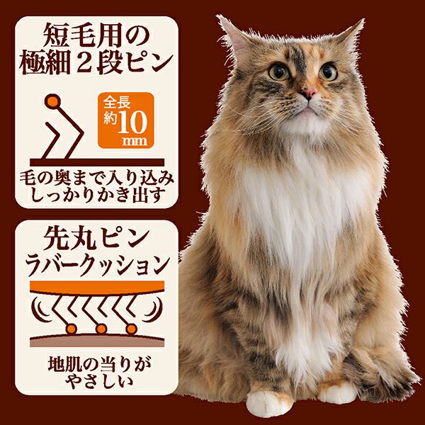 000000000591-03.jpg?size=l&w=
