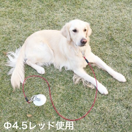 タフギア ワイヤーチェーン プラス 4.5mm ブルー | ペティオ