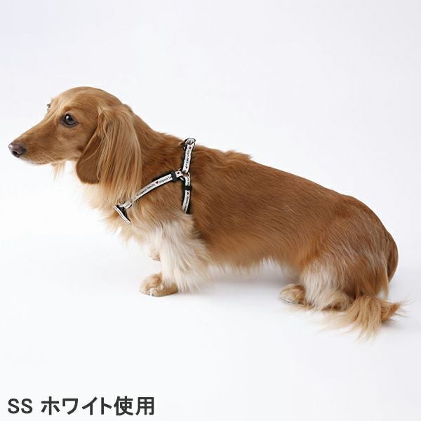 WanWan Casual ワンワンカジュアル デニムスタイルハーネス&リード S