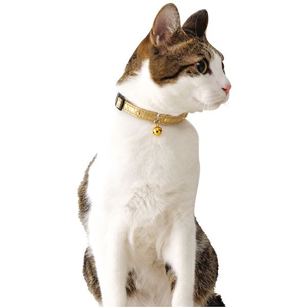 CAT COLLAR キャットカラー ゴージャスカラー ゴールド | ペティオ