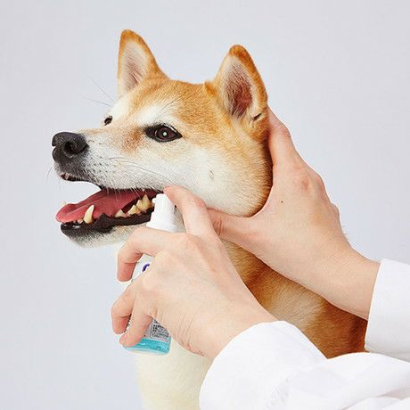 商品イメージ