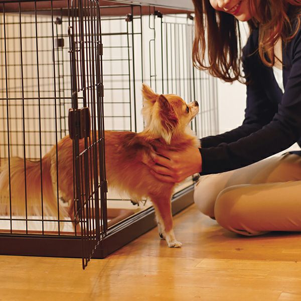 小型犬用ケージ（ペティオ ドッグルームサークル ブラウン レギュラー） 37%OFF！買い替え特集】トイレのしつけが出来る ドッグルームサークル
