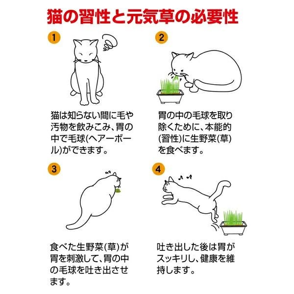 商品イメージ
