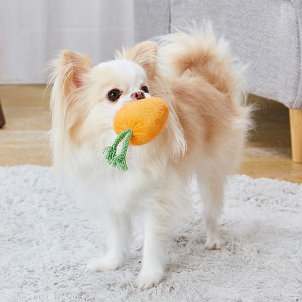 犬用おもちゃ はじめてのおつかい キャロット | ペティオ オンライン