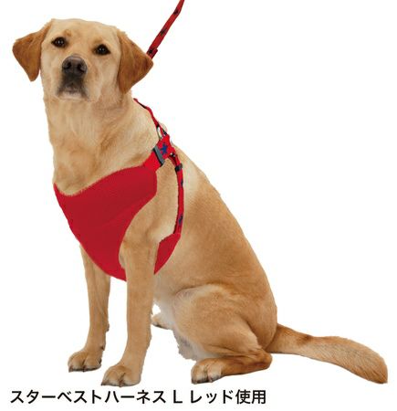 Daiwa フィッシングベスト ハーネス 000000001277-06.jpg?size=l&w=