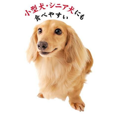 商品イメージ