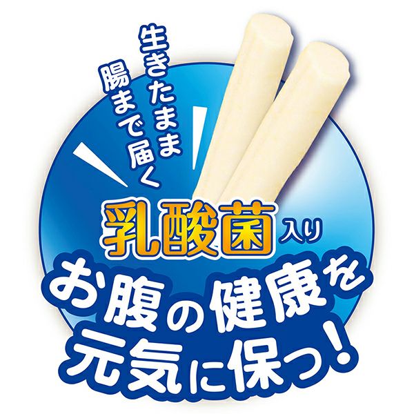 乳酸菌のちから スティックタイプ 40g | ペティオ オンライン ショップ本店