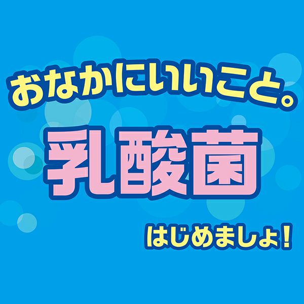 乳酸菌のちから スティックタイプ 40g | ペティオ オンライン ショップ本店