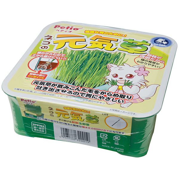 ネコの元気草 | ペティオ オンライン ショップ本店