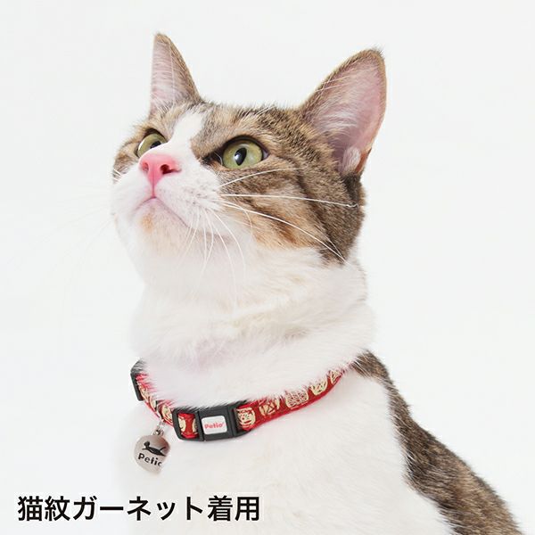 商品イメージ
