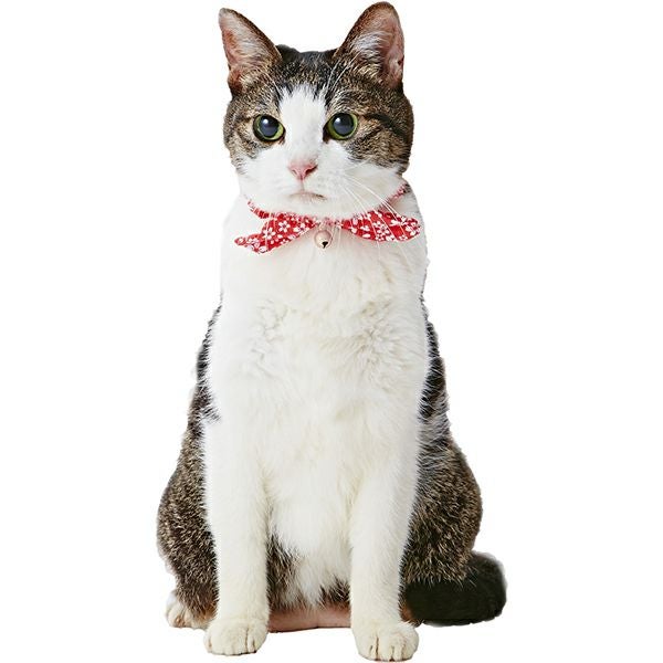000000001551-02.jpg?size=l&w=