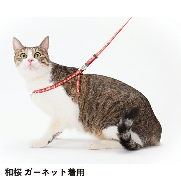 000000001559-02.jpg?size=l&w=