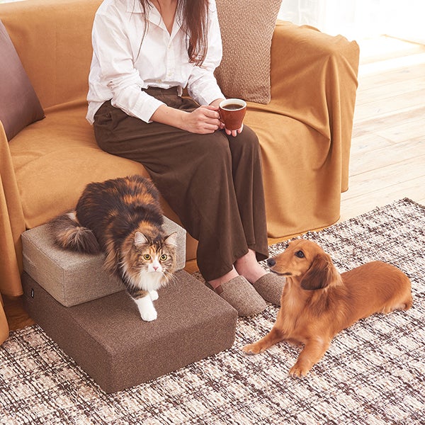 犬用リラックスソファマット ブラウン　トイプードル用 20%OFF】ファブリッククッションステップ マウンテンブラウン