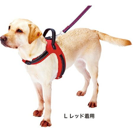 ラブハーネス L ブルー | ペティオ オンライン ショップ本店