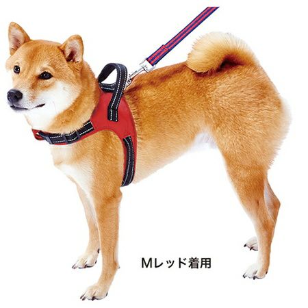 商品イメージ