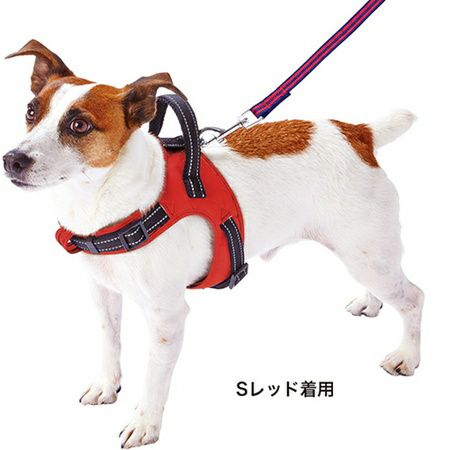 ラブハーネス S ブルー | ペティオ オンライン ショップ本店