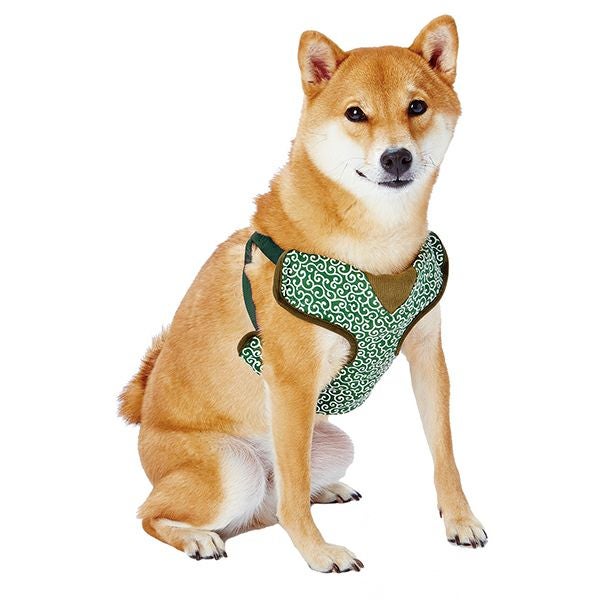 NEIGHBORHOOD DOG HARNESS（試着のみ）サイズM ハーネス犬 NEIGHBORHOOD DOG HARNESS（試着のみ）サイズM ハーネス犬 【公式通販】