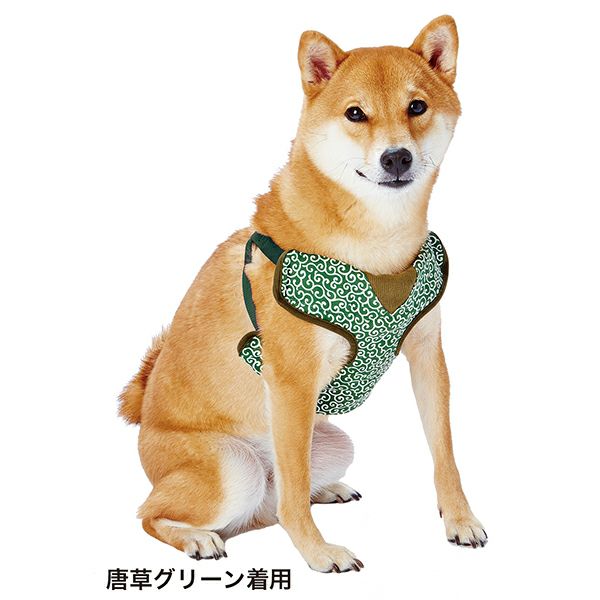商品イメージ