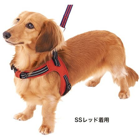 ラブハーネス SS レッド | ペティオ オンライン ショップ本店