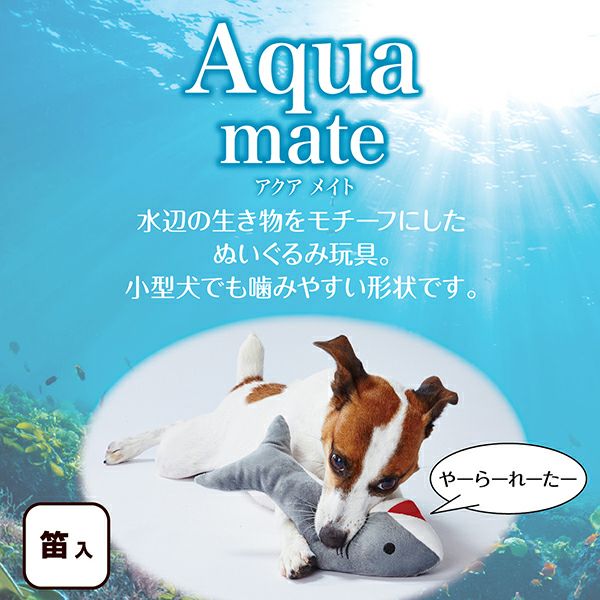 15%OFF！スーパーSALE】Add.Mate アドメイト アクアメイト サメ【会員