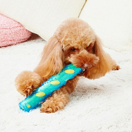 ヘルス プログラム シャカシャカスティック | ペティオ オンライン