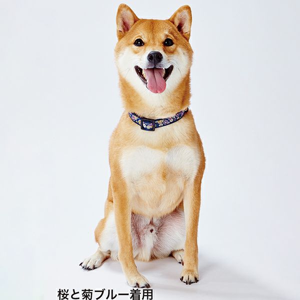 商品イメージ