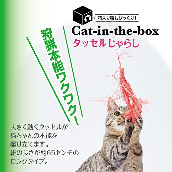 10%OFF！おうち時間特集】Add.Mate アドメイト cat in the box