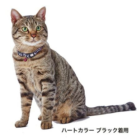 CAT COLLAR キャットカラー フラワーカラー パープル | ペティオ