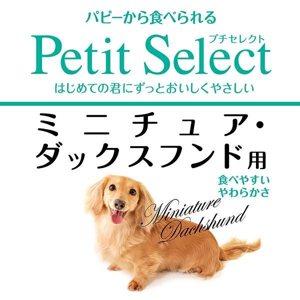 マイティダックス　6体セット img10486275402.jpg