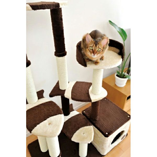 15%OFF！スーパーSALE】Add.Mate アドメイト 猫のおあそびポール お魚