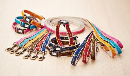 Add.Mate アドメイト シンボルベストハーネス S ターコイズ | ペティオ