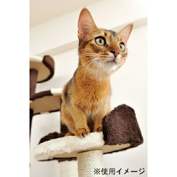 Add.Mate アドメイト 猫のおあそびポール お魚ファミリー ミドルタイプ