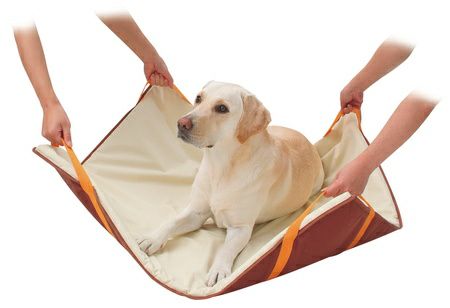 新品未開封！老犬介護用 運搬補助マット 中・大型犬用 zuttone ずっとね 老犬介護用 運搬補助マット 中・大型犬用 | ペティオ