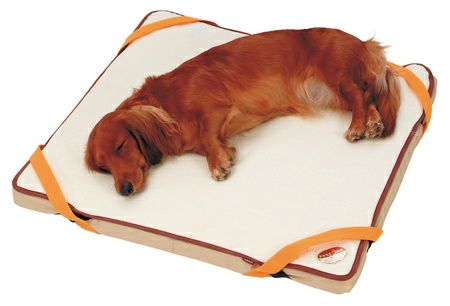 犬用ベッド 新品 ペットベッド L[品番：BCYW0032446]｜BACKYARD FAMILY（バックヤード