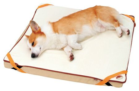 zuttone ずっとね 老犬介護用 床ずれ予防ベッド 中型犬用 | ペティオ 