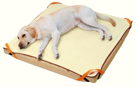 zuttone ずっとね 老犬介護用 床ずれ予防ベッド 大型犬用 | ペティオ