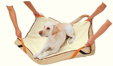 zuttone ずっとね 老犬介護用 床ずれ予防ベッド 大型犬用 | ペティオ