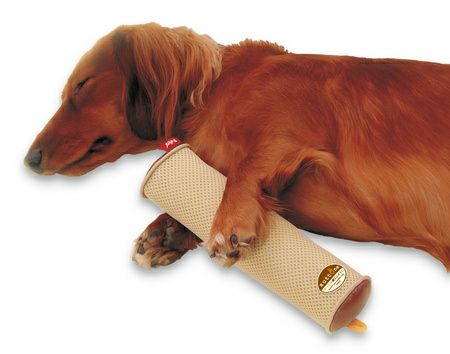 zuttone ずっとね 老犬介護用 床ずれ予防クッション スティック型 小 2